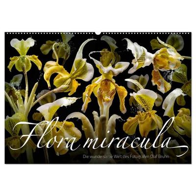 Flora miracula - Die wundersame Welt des Fotografen Olaf Bruhn (Wandkalender 2027 DIN A2 quer), CALVENDO Monatskalender