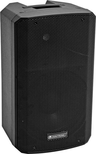 Omnitronic VFM-210 MK2 Passiver PA Lautsprecher 10 Zoll 90W 1St.