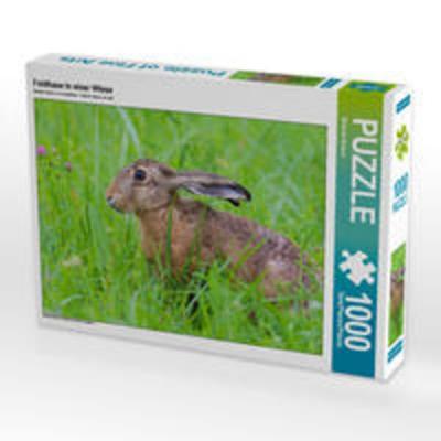 CALVENDO Puzzle Feldhase in einer Wiese | 1000 Teile Lege-Größe 64x48cm Foto-Puzzle für glückliche Stunden