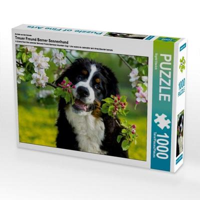 CALVENDO Puzzle Ein Motiv aus dem Kalender Treuer Freund Berner Sennenhund | 1000 Teile Lege-Größe 64x48cm Foto-Puzzle für glückliche Stunden