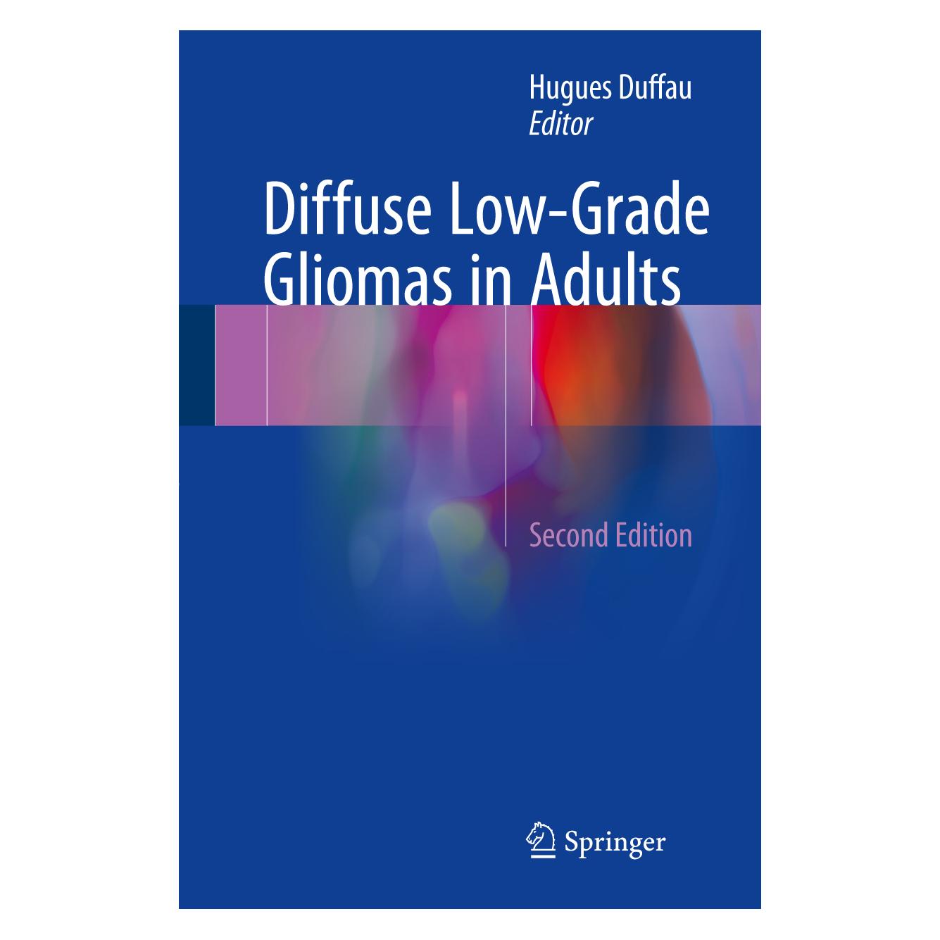 Springer Diffuse Low-Grade Gliomas in Adults (Englisch, Hardcover, Hugues Duffau) (9783319554648)