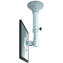 Neomounts NewStar - FPMA-C025 SILVER - Deckenhalterung (Decke, 30", 12 kg), Monitor Halterung, Silber