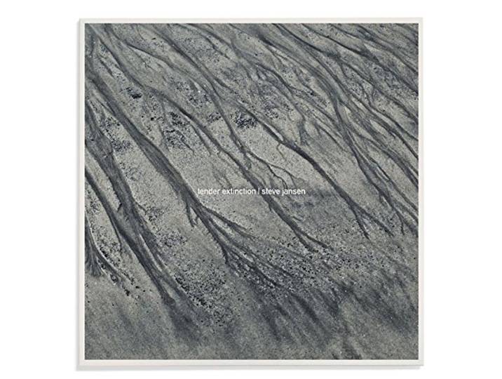 Steve Jansen - Tender Extinction