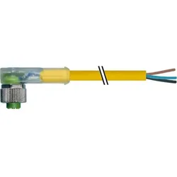 Murrelektronik Buchse 7000-12381-0530500