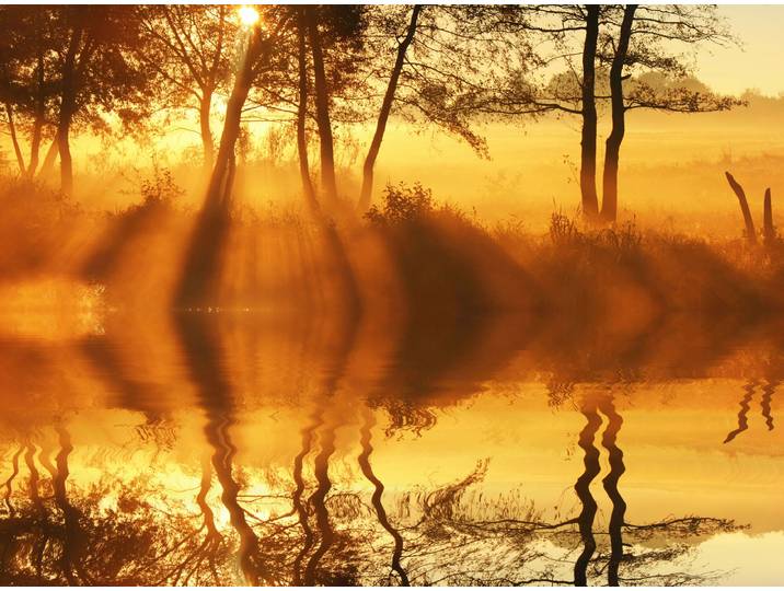 Papermoon DÄMMERUNG-REFLEXION VON BÄUMEN UFER FLUSS SEE SONNE