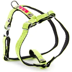 Martin Sellier Hundegeschirr (35, Hund, Spazieren), Halsband + Leine