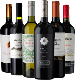 Vinatis Weinpaket -Best of Argentinien & Chile - 6 Fl. - 4.5L