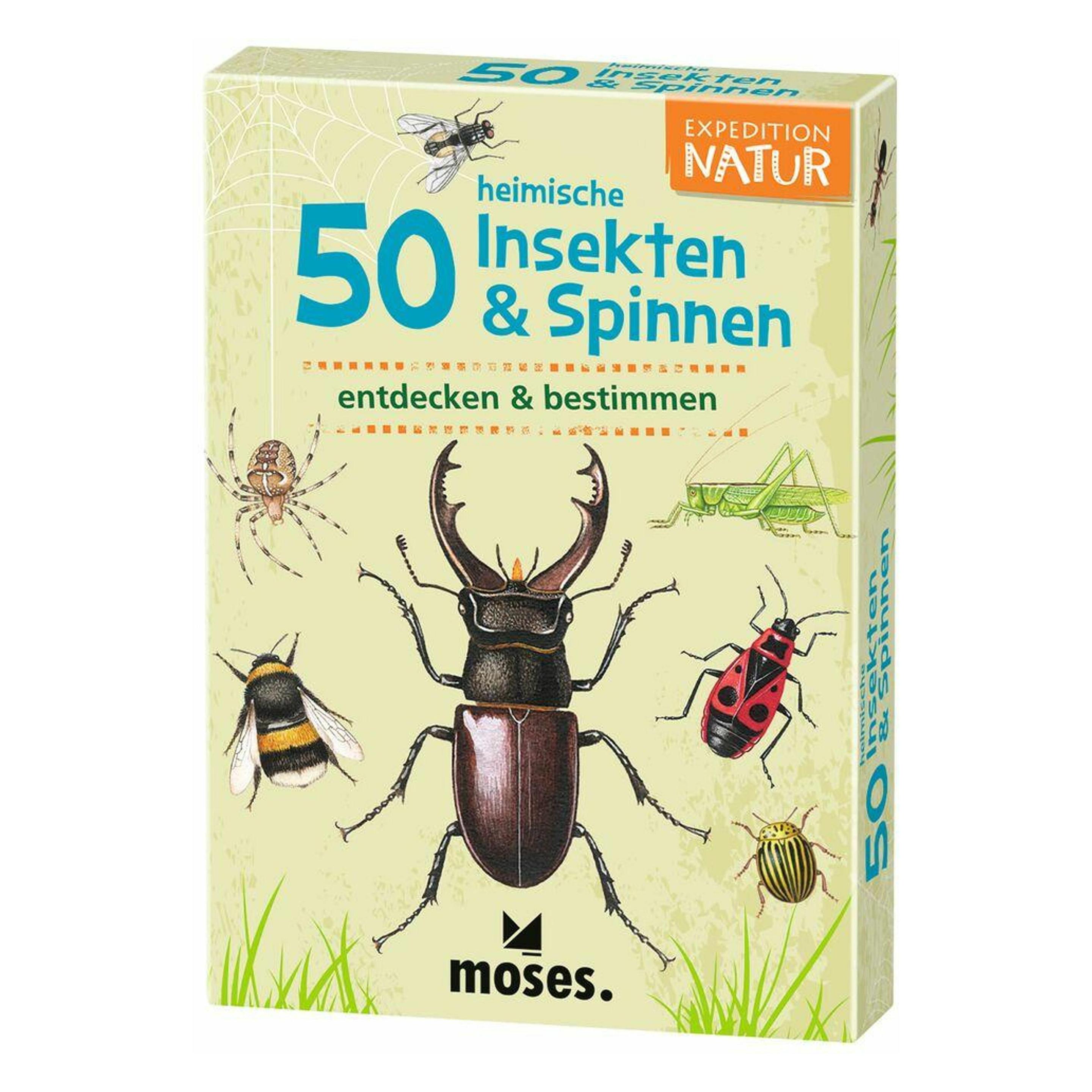 Moses 50 heimische Insekten & Spinnen (Deutsch) (9723)