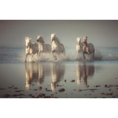 Fototapete PAPERMOON "Photo-Art ROSTOVSKIY ANTON, CAMARGUE-PFERDE", bunt, B:3,5m L:2,6m, Vlies, Tapeten
