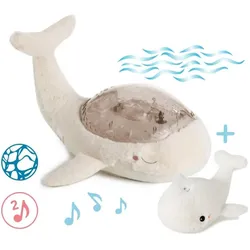 Cloud B, Nachtlicht, Tranquil Whale