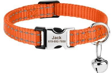 Uplifted Finds Safe Track Customized ID Module orange