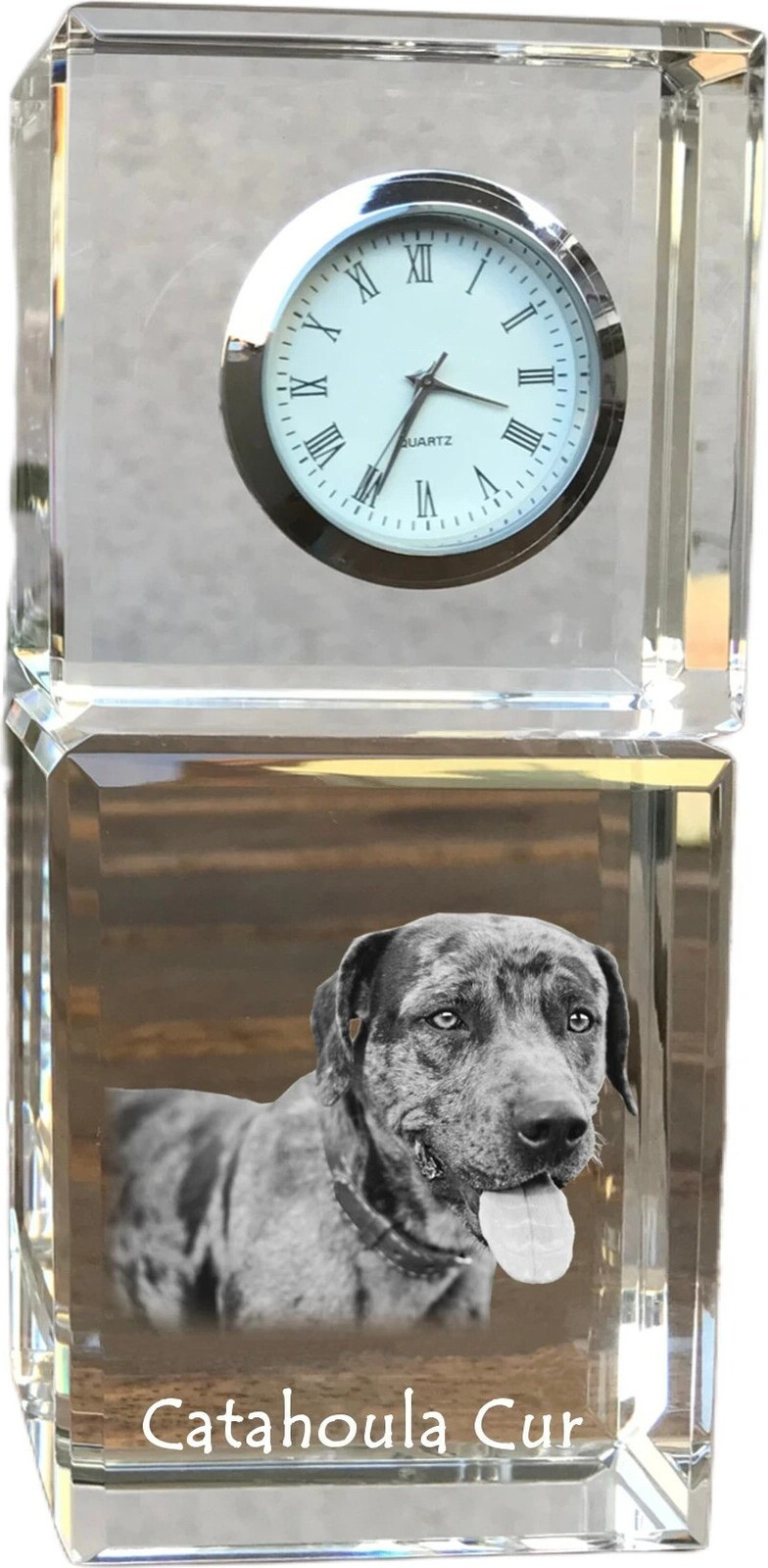 Art-Dog Klok Catahoula Leopard Dog