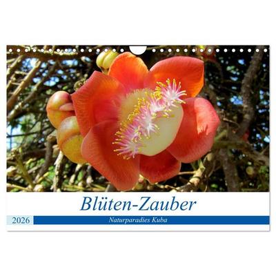 Blüten-Zauber - Naturparadies Kuba (Wandkalender 2026 DIN A4 quer), CALVENDO Monatskalender