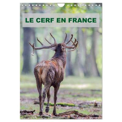 LE CERF EN FRANCE (Calendrier mural 2026 DIN A4 horizontal), CALVENDO calendrier mensuel