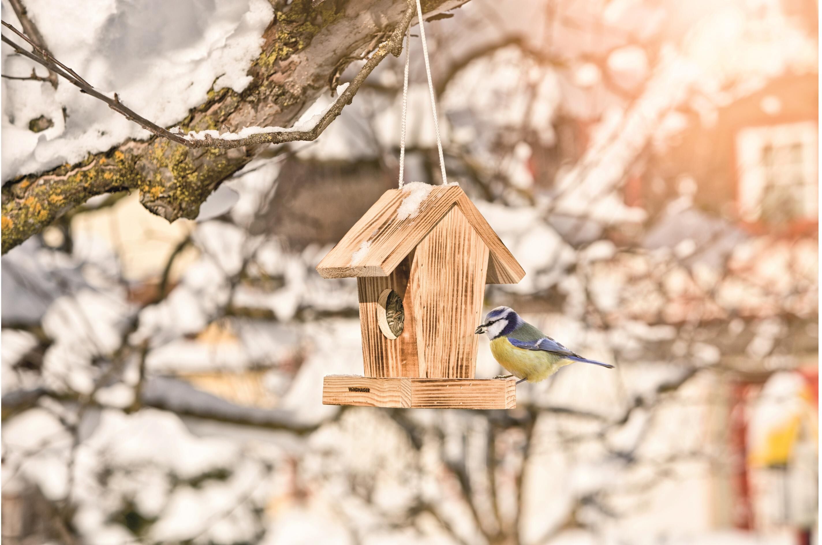 Vogelhaus WINDHAGER "Cottage", beige (natur), B:18,5cm H:23,5cm T:14,5cm, Tierhäuser, Vogelhaus, Holzart: Fichte, Kiefer, Pappel (Bulgarien) natur B/H/T: 18,5cm x 23,5cm x 14,5cm