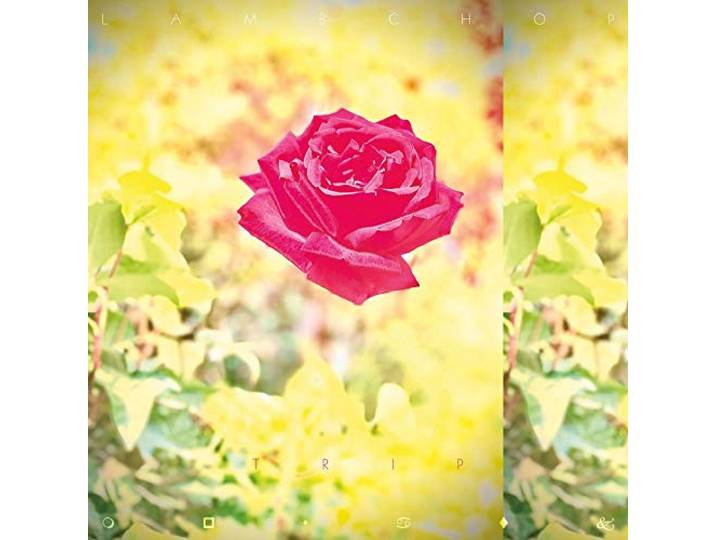 Trip (Sun Yellow)