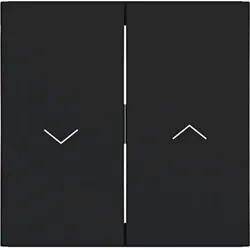 Hager Wippe 2fach mit Aufdruck Symbol Pfeil, A.x/C.x, nachtschwarz matt