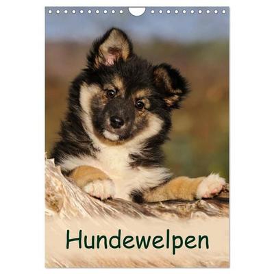 Hundewelpen (Wandkalender 2027 DIN A4 hoch), CALVENDO Monatskalender