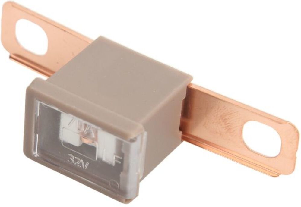 Sicherung LITTELFUSE BV BEZP295070