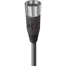 Lumberg Automation 16288 Sensor-/Aktor-Steckverbinder, konfektioniert M23 Kupplung, gewinkelt 20.00 m Polzahl Sensoren: 19 1 St.