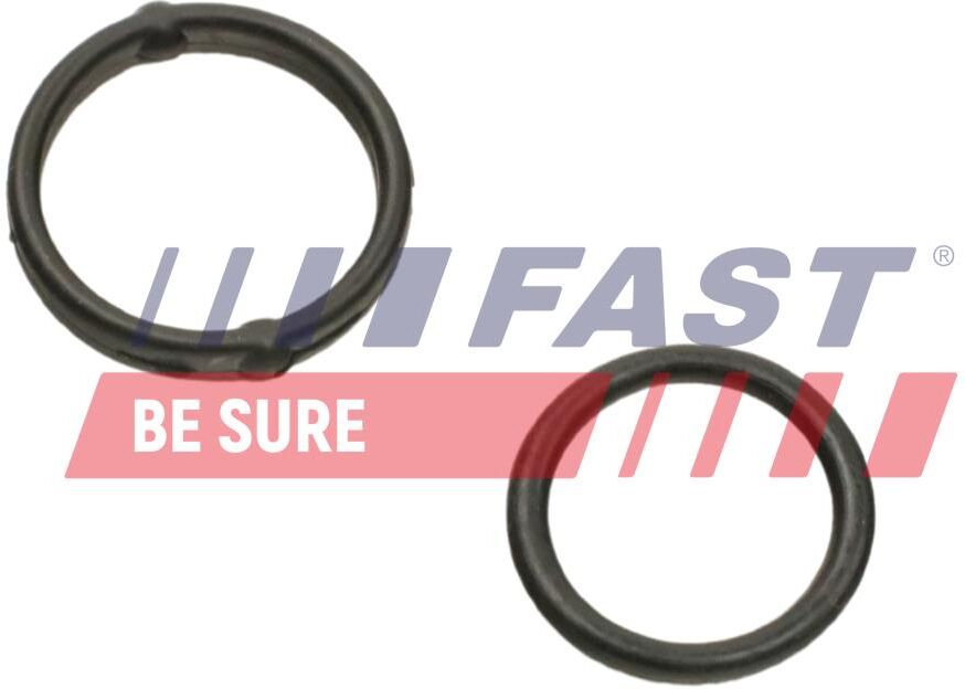 Fast Dichtung, Ölpumpe Ft38804 Für Opel Fiat