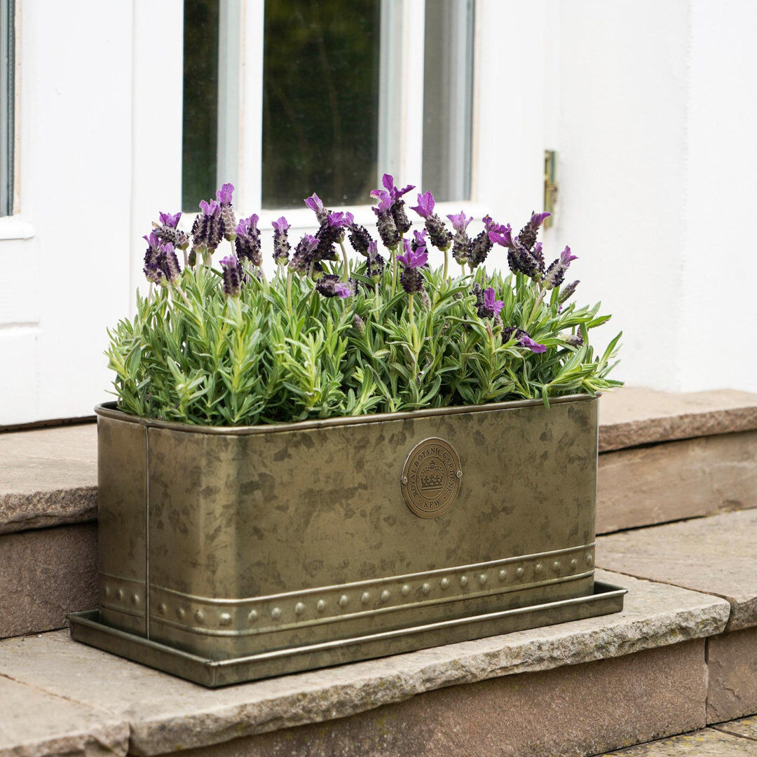 Ivyline Kew Regency Outdoor Planter Aged Brass 17 cm H x 43 cm W x 19 cm D