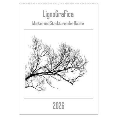 LignoGrafica - Muster und Strukturen der Bäume (Wandkalender 2026 DIN A2 hoch), CALVENDO Monatskalender