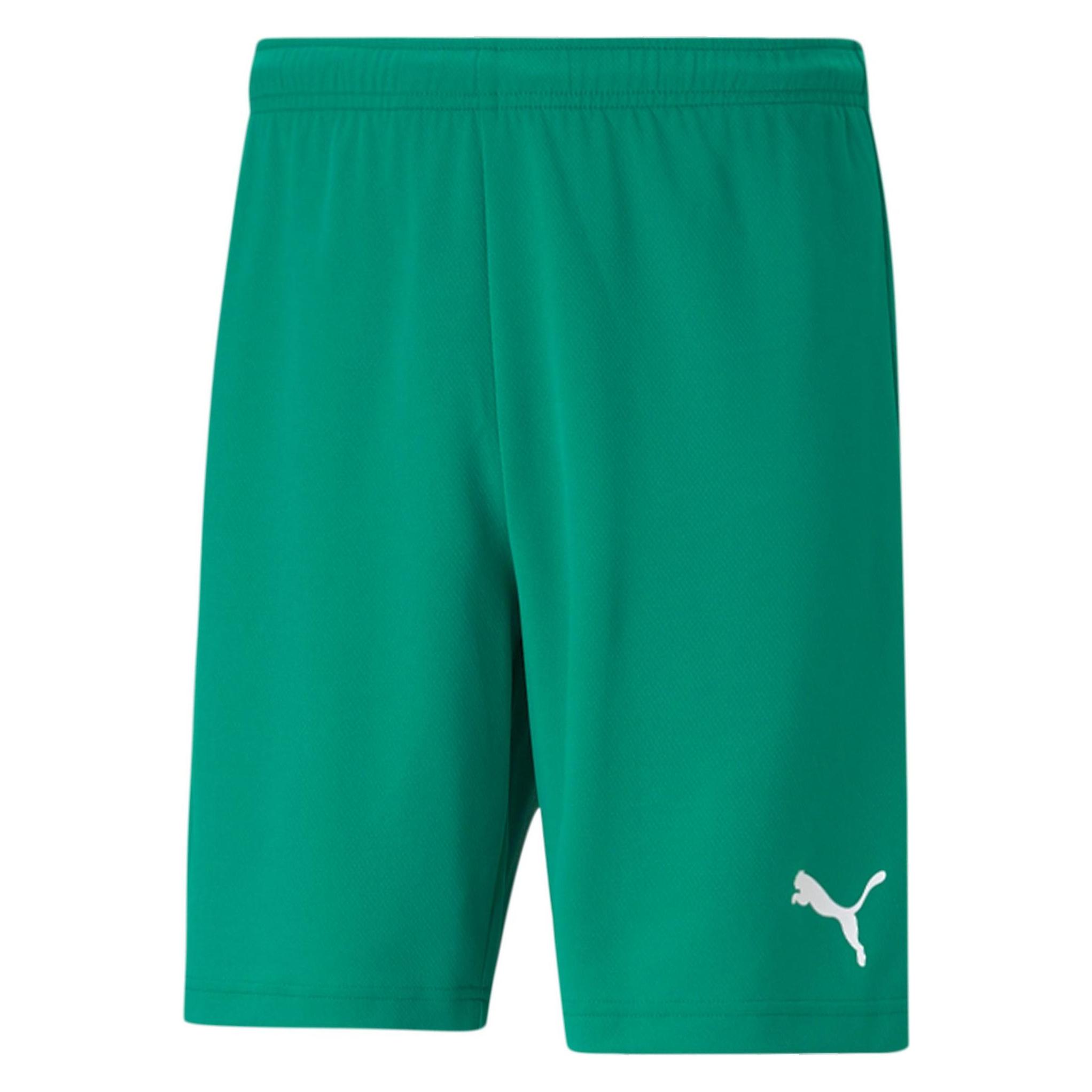 Puma teamRISE Short-704942 (M) (704942_05)