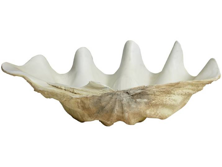 Nordal Kichi decoratie schelp