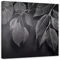 LEINWANDBILD Minimalismus hinterlässt Pflanzen schwarz und weiß 40x40cm