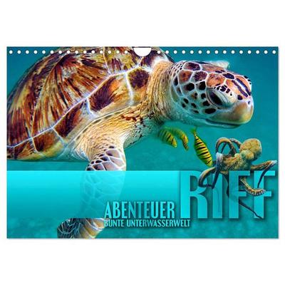 Abenteuer Riff - bunte Unterwasserwelt (Wandkalender 2027 DIN A4 quer), CALVENDO Monatskalender