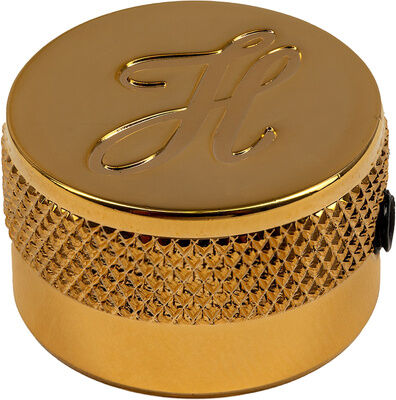 Höfner H909/17-GO G&B Knob Gold Gold