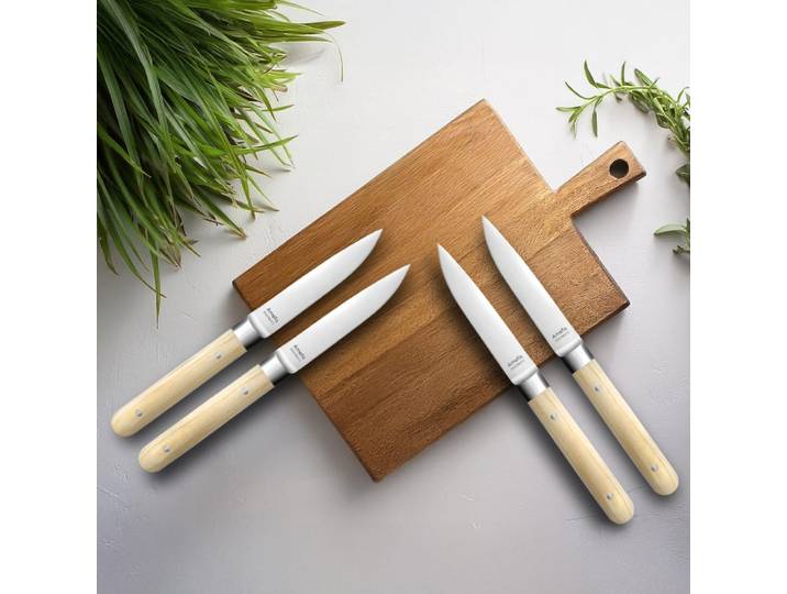 Coffret 4 couteaux steak