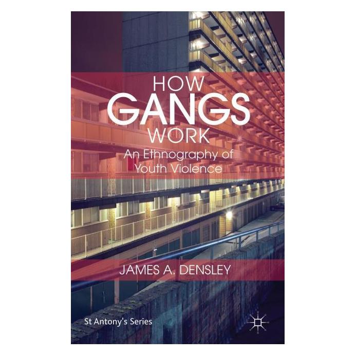 Palgrave Macmillan Uk Densley:How Gangs Work (Englisch, Hardcover, J. Densley) (63322042)