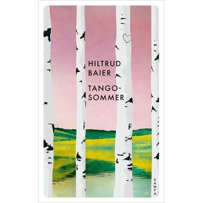 Tangosommer, Taschenbuch von Hiltrud Baier, Kampa Verlag, 978-3-311-15114-2