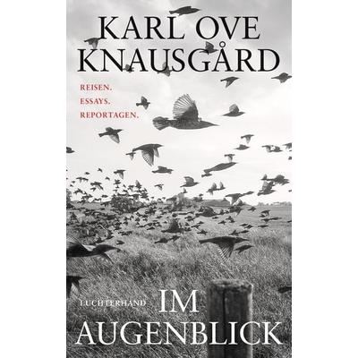 Im Augenblick, Gebundene Ausgabe von Karl Ove Knausgard, Luchterhand, 978-3-630-87822-5