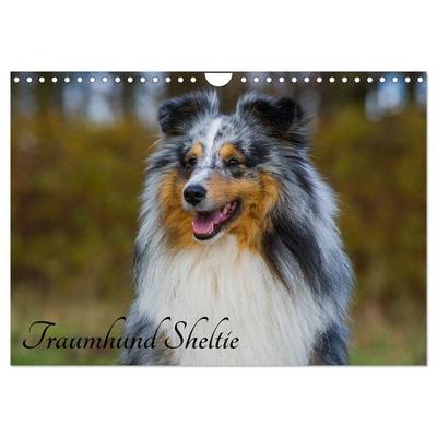 Traumhund Sheltie (Wandkalender 2027 DIN A4 quer), CALVENDO Monatskalender