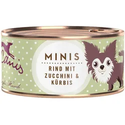 Terra Canis MINIS 100g Hundenassfutter 18 x 100 Gramm Rind mit Zucchini & Kürbis