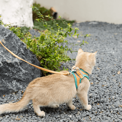 PetsAreLife Luminous Cat Vest Green L