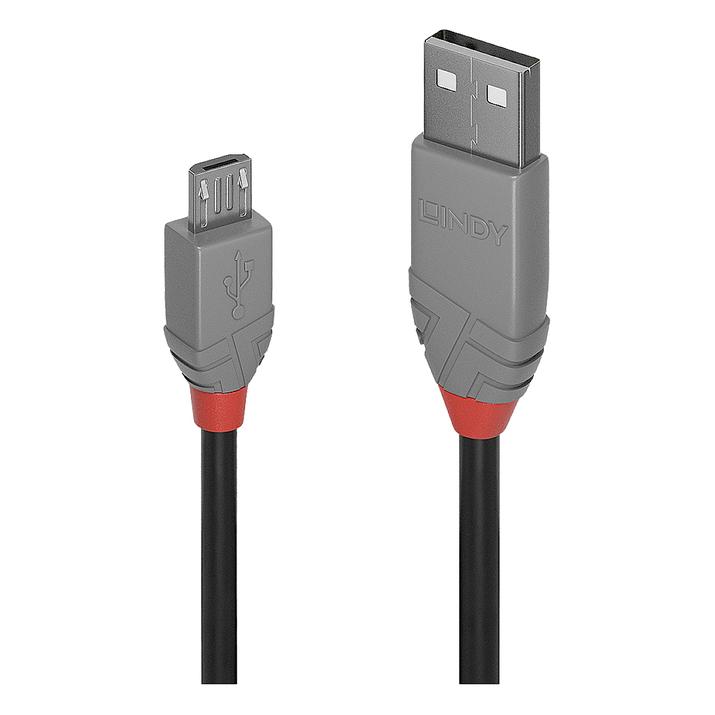 Lindy Anthra Line (5 m, USB 2.0) (36735)