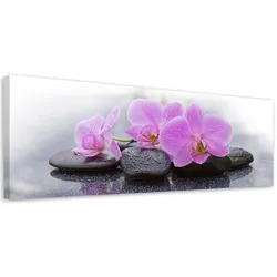 WANDBILD rosa orchideen und steine
