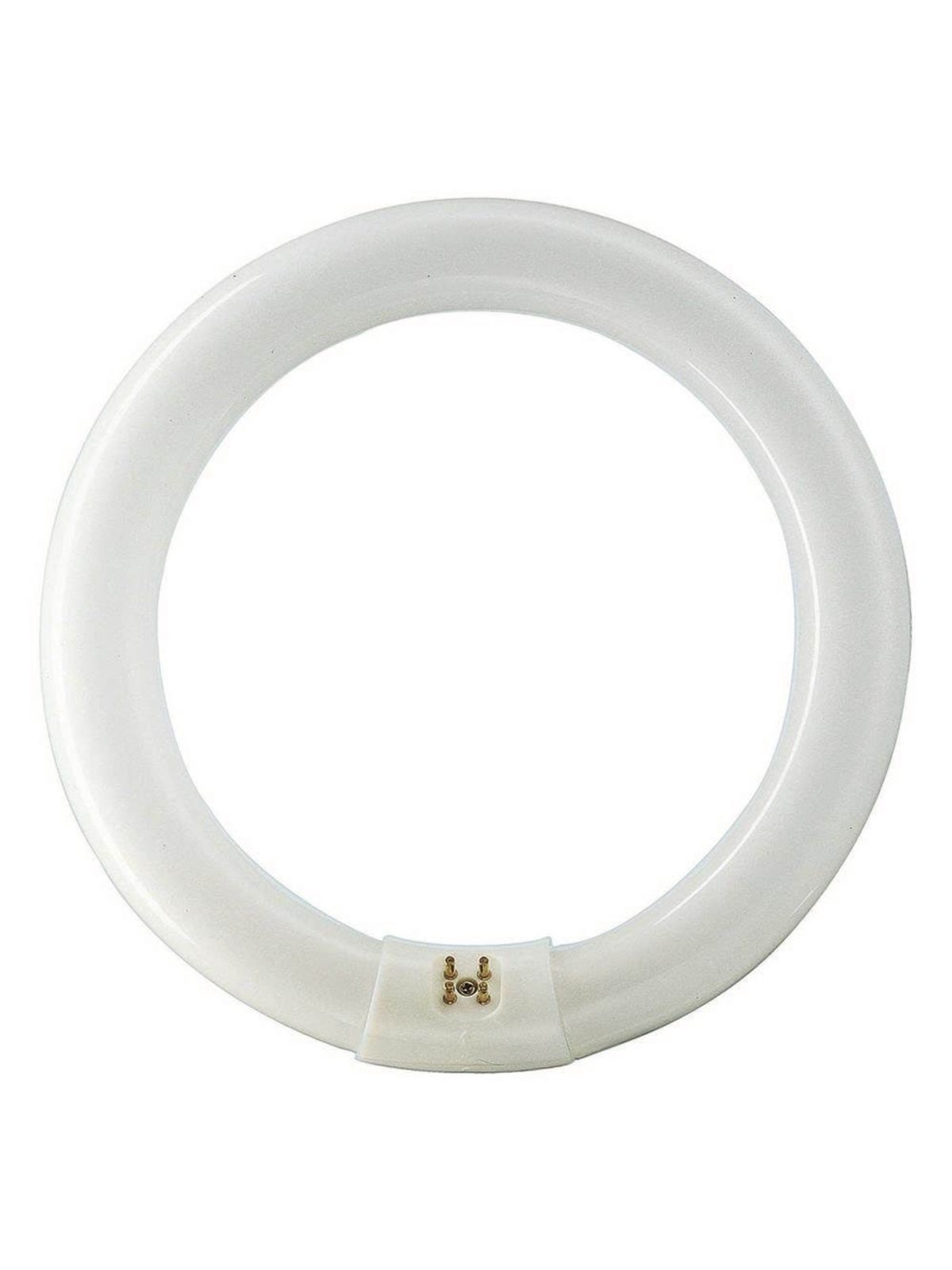 Philips Fluoreszierende Glühbirne Master TL-E Circular 32W/840 G10q