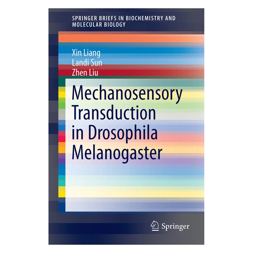 Springer Mechanosensory Transduction in Drosophila Melanogaster (Englisch, Softcover, Landi Sun, Xin Liang, Zhen Liu) (55935456)