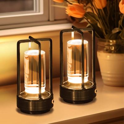 Evergreen Home Goods Creative Cordless LED Table Lamp, For Desk, Bedside, And Outdoor Camping Atmosphere Light silver