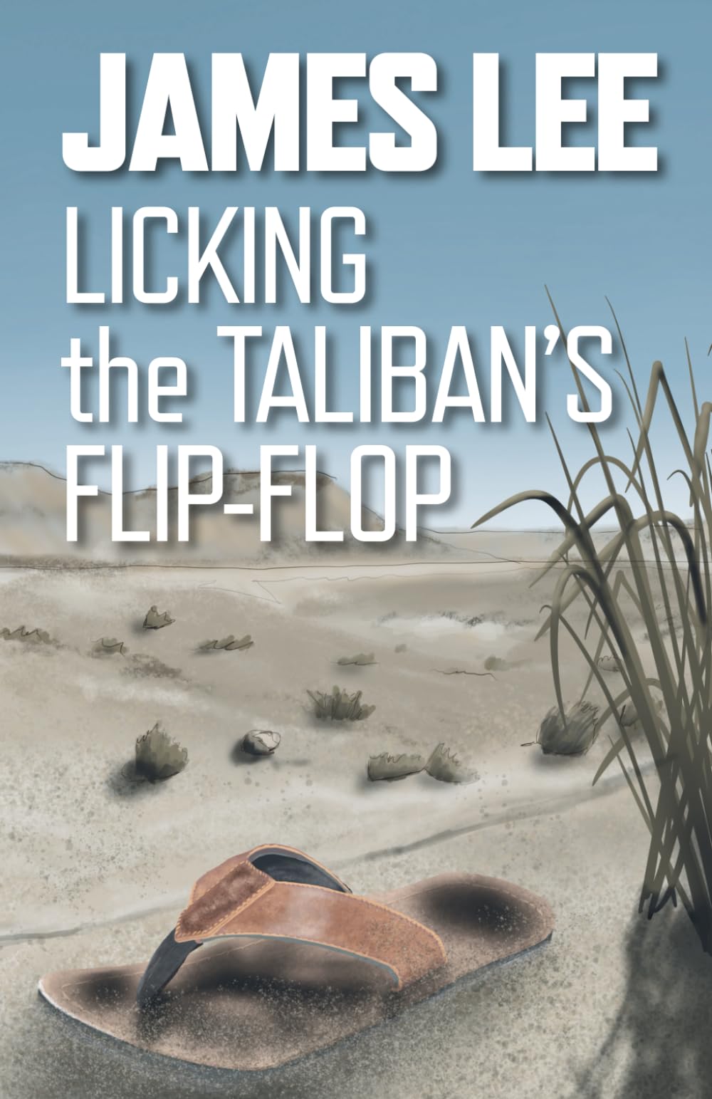 James Lee - Licking The Taliban's Flip-Flop (The 'Hurry up and Wait' Trilogy, Band 1) - Preis vom 30.09.2026 09:01:18 h