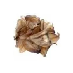 Schweineohren 20 Stck. Aktionspreis von Robby Zooshop