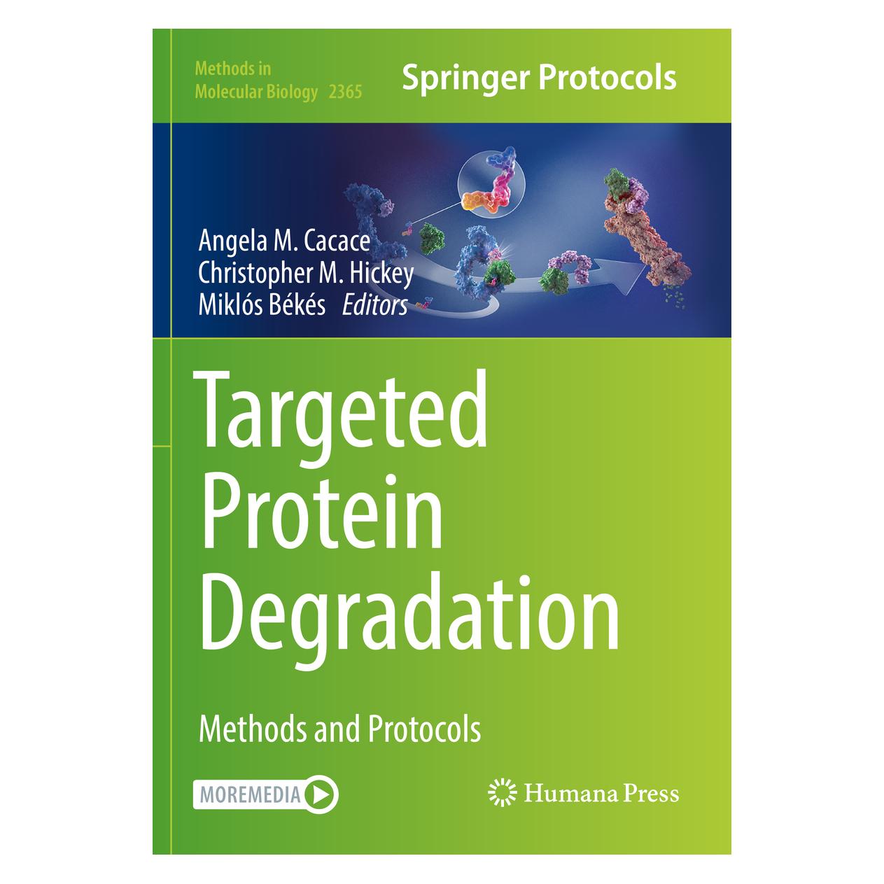 Springer Targeted Protein Degradation (Englisch, Softcover, Angela M. Cacace, Christopher M. Hickey, Miklós Békés) (56881068)