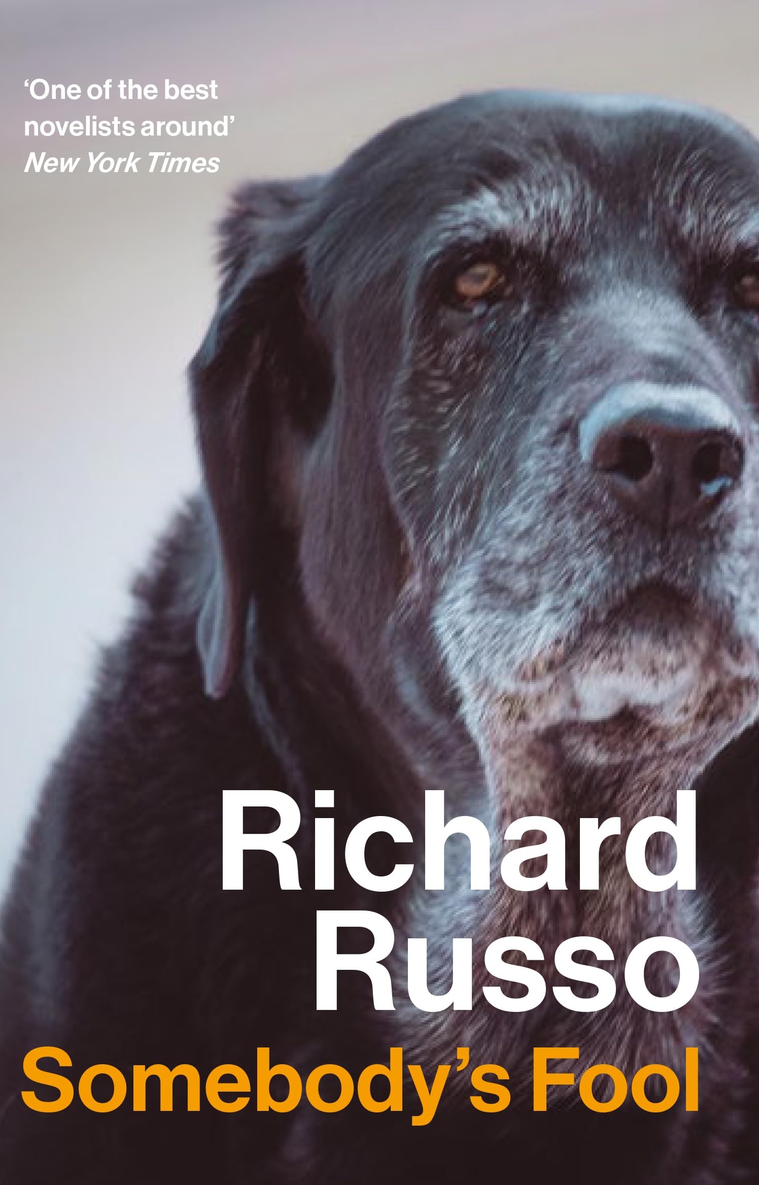Richard Russo - Somebody's Fool: Richard Russo - Preis vom 09.10.2026 07:28:09 h