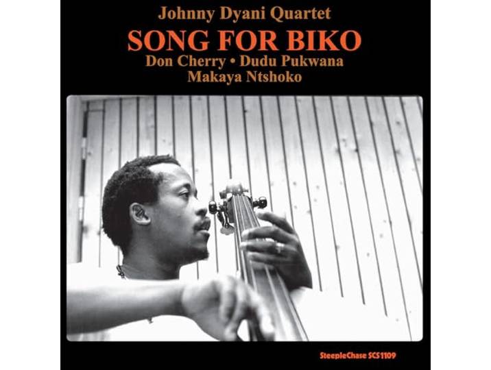 Song for Biko (180grs)