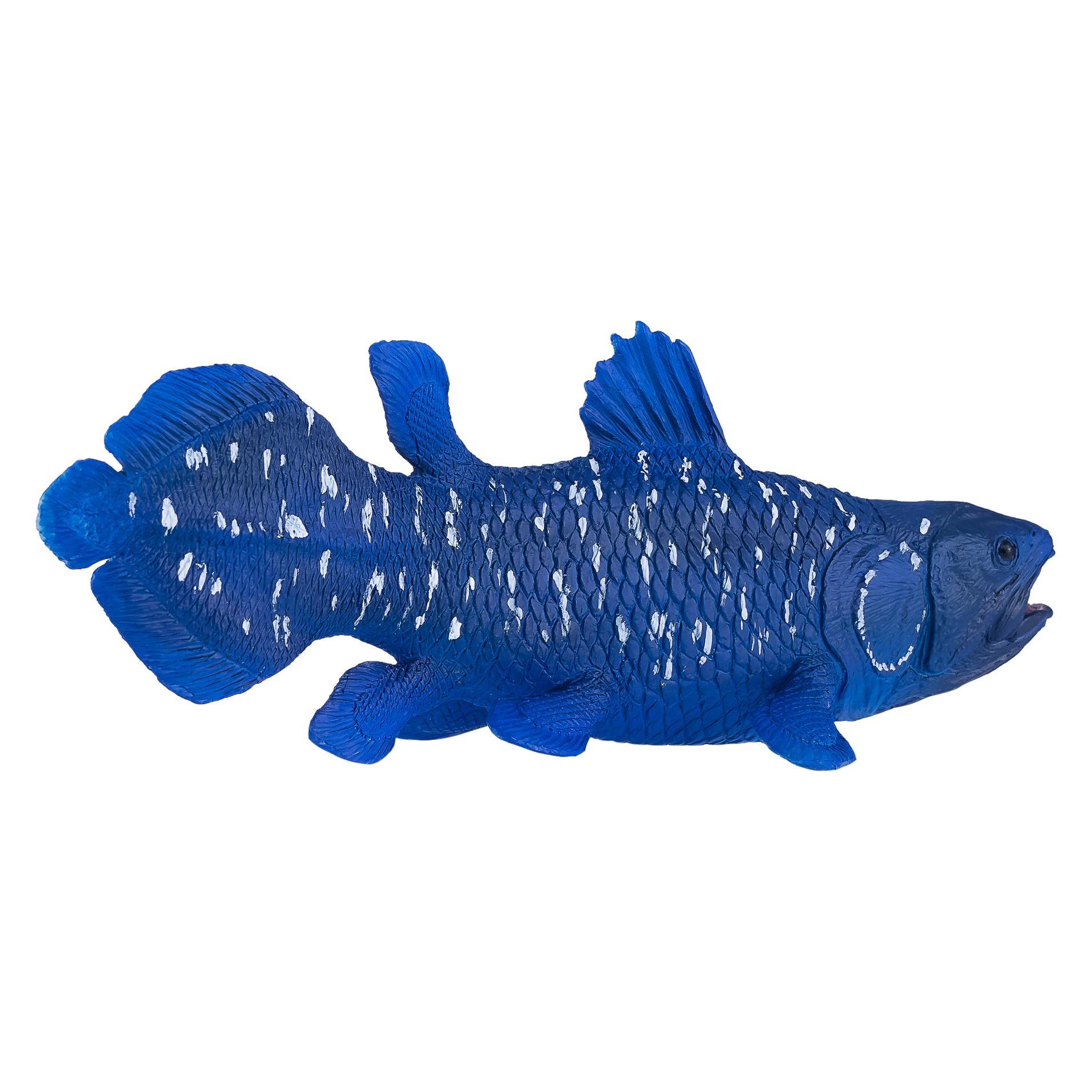 Q Mojo Mojo Sealife Quastenflosser - 381050 (381.050)